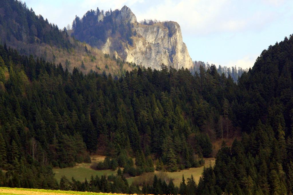 Gospodarstwo Karolina Villa Huba Buitenkant foto